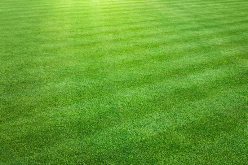 Lawn with Freshly Cut Grass