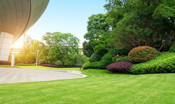 Cost of Commercial Lawn Mowing in Elmhurst