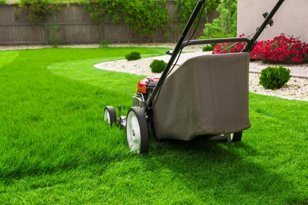 Cost of Home Yard Maintenance in Elmhurst