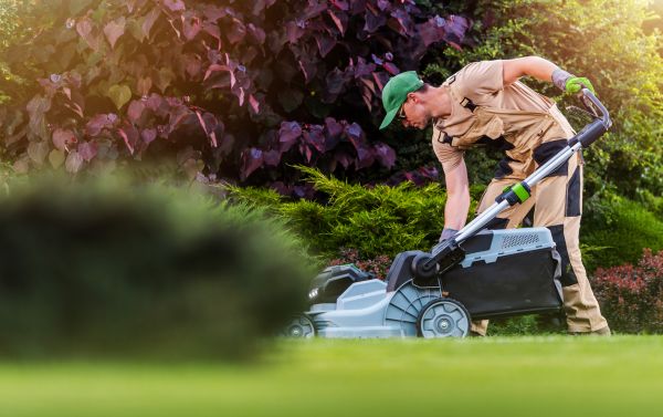 Cost of Lawn Care And Maintenance in Elmhurst