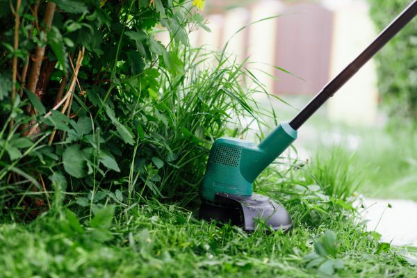Cost of Weed Whacking in Elmhurst