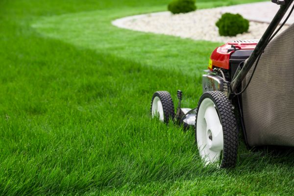 Cost of Yard Maintenance in Elmhurst