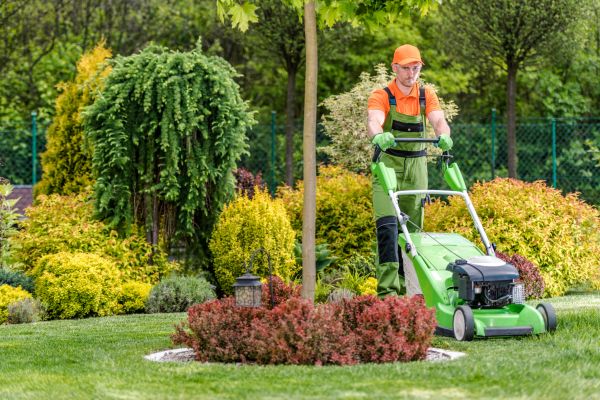 Cost of Yard Service in Elmhurst
