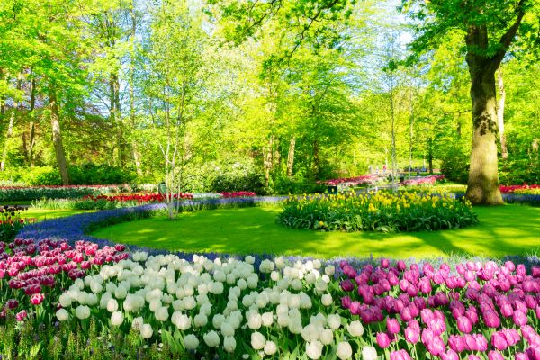 Cost of Spring Lawn Care in Elmhurst