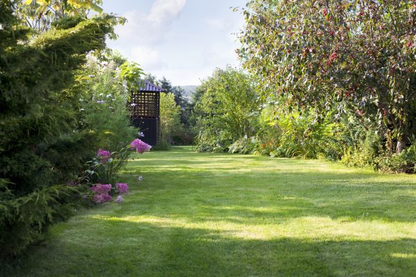 Cost of Yard Upkeep Service in Elmhurst