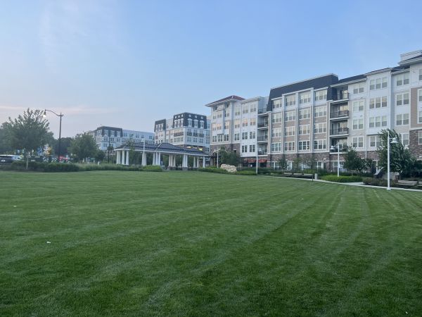 Cost of Urban Lawn Care in Elmhurst