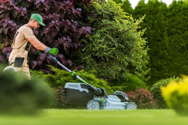 Cost of Lawn Management in Elmhurst