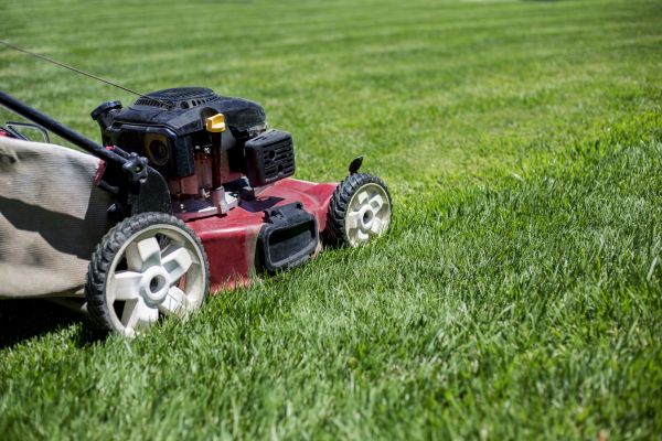 Cost of Routine Lawn Care in Elmhurst