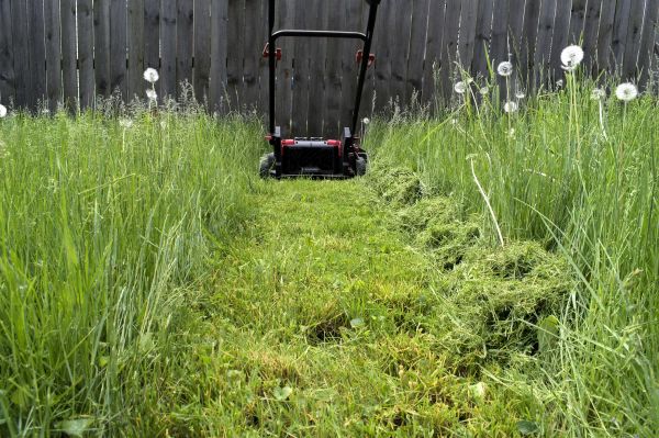 Cost of High Grass Mowing in Elmhurst