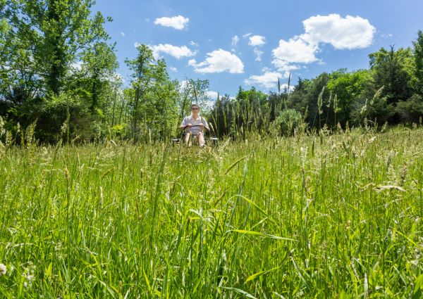 Cost of Long Grass Mowing in Elmhurst