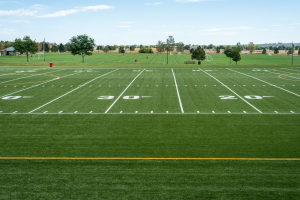 Cost of Groundskeeping Service in Elmhurst