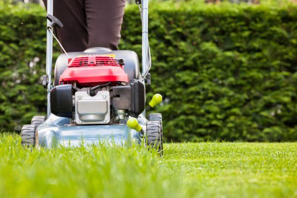 Cost of Grass Trimming Service in Elmhurst