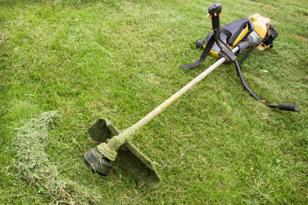 Cost of Hillside Weed Whacking in Elmhurst