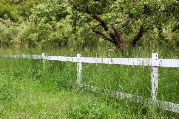 Cost of Fence Line Trimming in Elmhurst