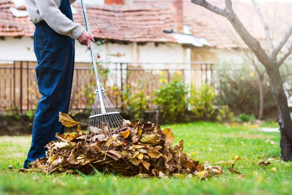 Cost of Routine Lawn Maintenance in Elmhurst