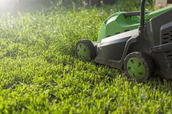 Cost of Residential Lawn Maintenance in Elmhurst