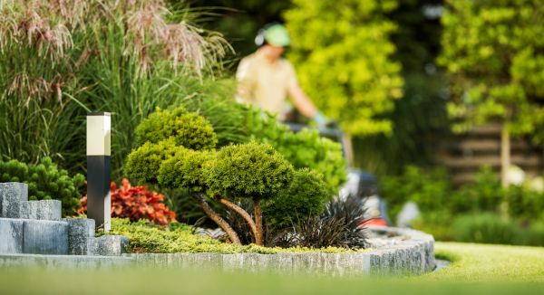 Cost of Residential Yard Maintenance in Elmhurst