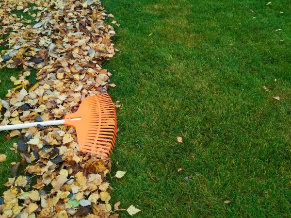 Cost of Fall Lawn Care in Elmhurst