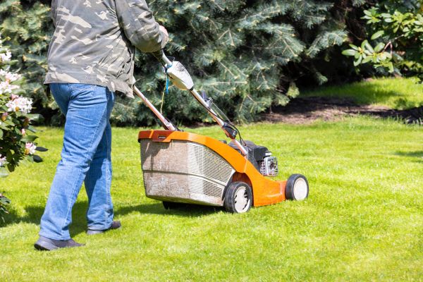 Cost of Springtime Lawn Care in Elmhurst