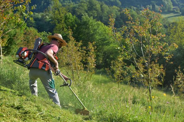 Cost of Slope Mowing in Elmhurst