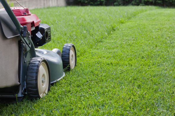 Cost of Spring Lawn Maintenance in Elmhurst