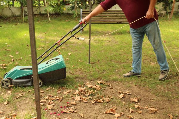 Cost of Leaves Mowing in Elmhurst