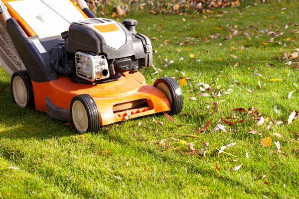 Cost of Fall Mowing in Elmhurst