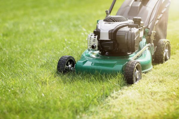 Cost of Spring Grass Trimming in Elmhurst