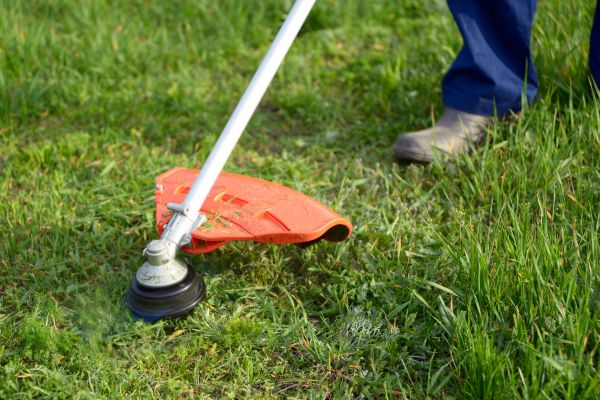 Cost of Lawn Weed Whacking in Elmhurst