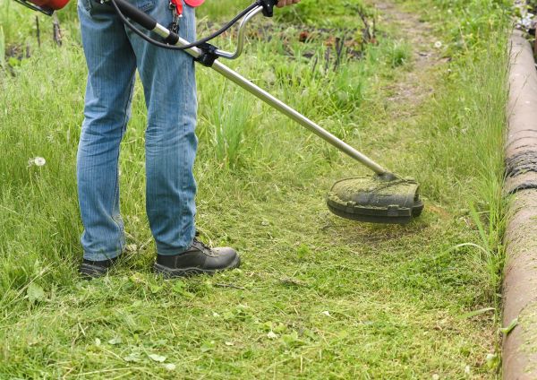 Cost of Tall Grass Trimming in Elmhurst